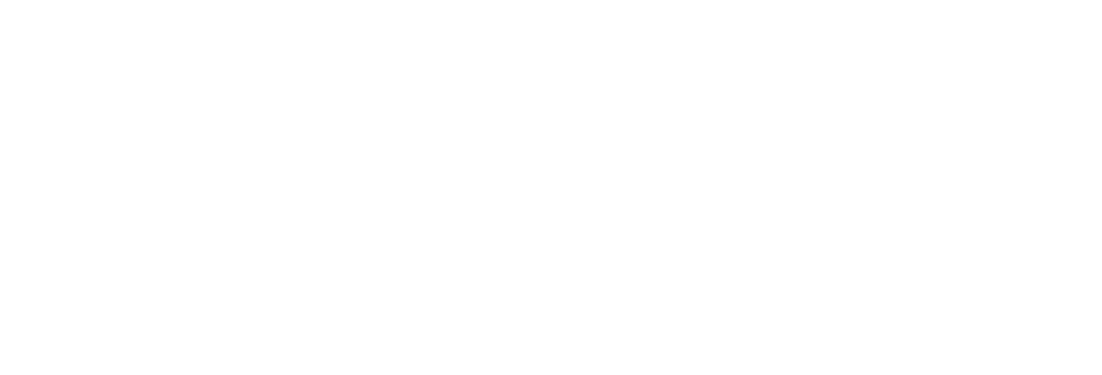 Die Schleife